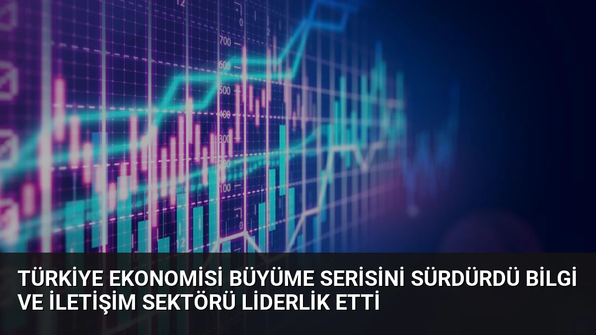 Türkiye Ekonomisi Büyüme Serisini Sürdürdü Bilgi ve İletişim Sektörü Liderlik Etti