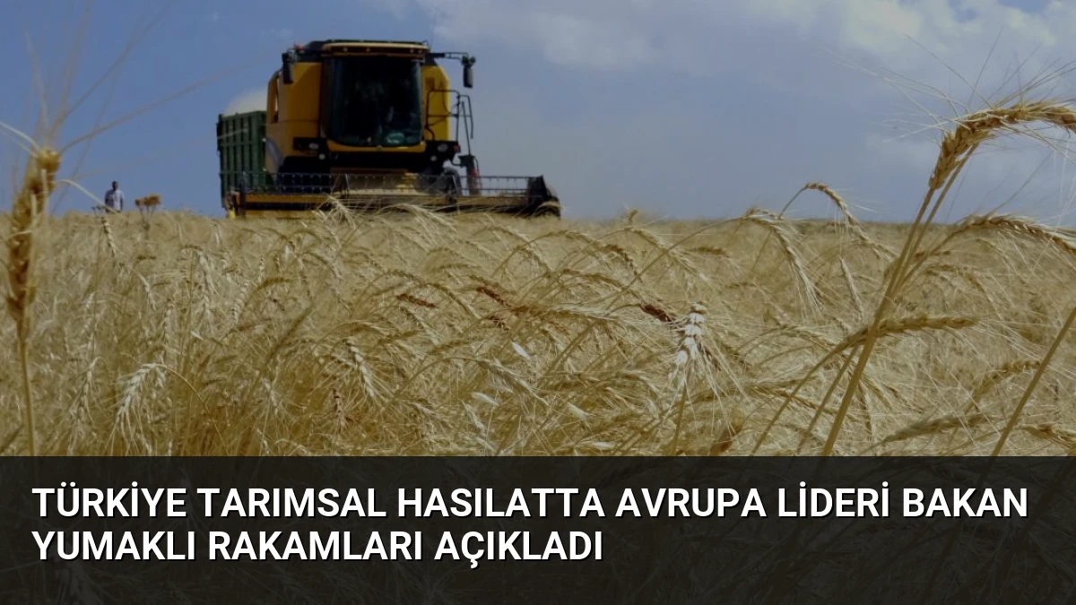 Türkiye Tarımsal Hasılatta Avrupa Lideri Bakan Yumaklı Rakamları Açıkladı