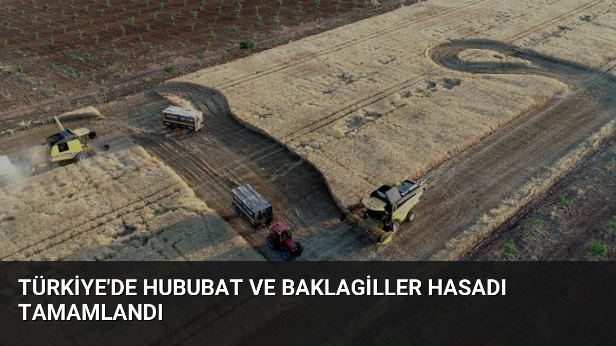 Türkiye’de Hububat ve Baklagiller Hasadı Tamamlandı