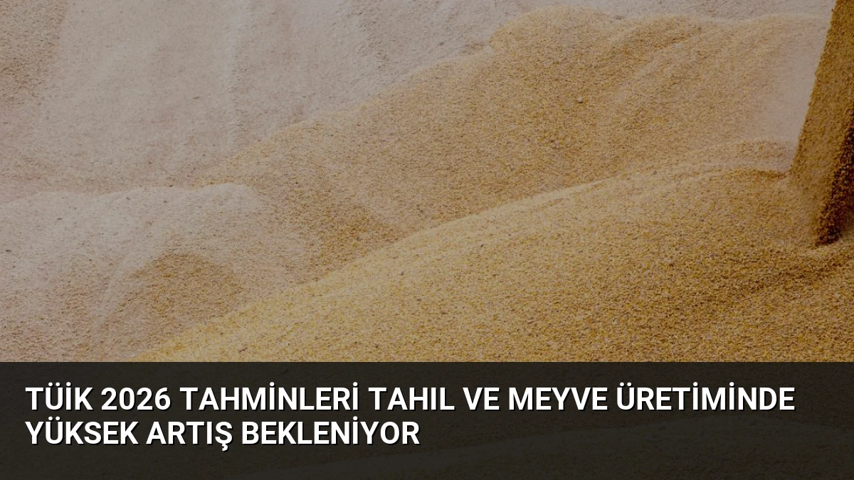 TÜİK 2026 Tahminleri Tahıl ve Meyve Üretiminde Yüksek Artış Bekleniyor