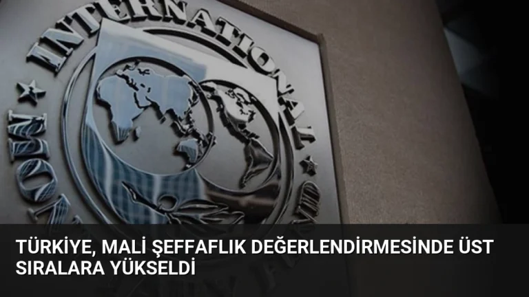 Türkiye, Mali Şeffaflık Değerlendirmesinde Üst Sıralara Yükseldi