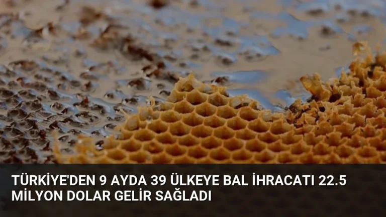Türkiye’den 9 Ayda 39 Ülkeye Bal İhracatı 22.5 Milyon Dolar Gelir Sağladı