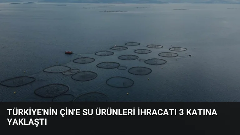 Türkiye’nin Çin’e Su Ürünleri İhracatı 3 Katına Yaklaştı
